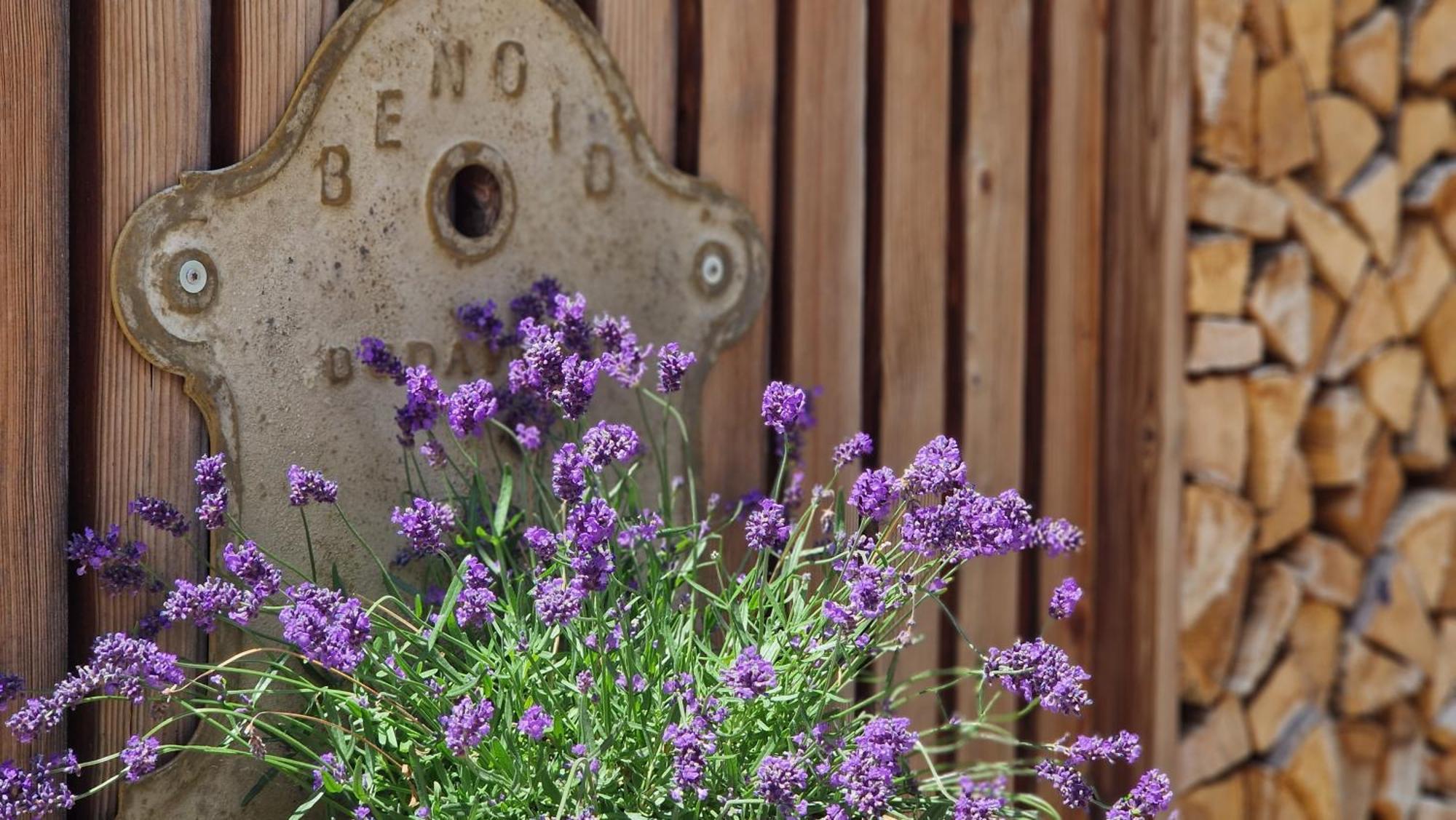 Nostalgie Bed & Breakfast Chraemerhus Curaglia Luaran gambar